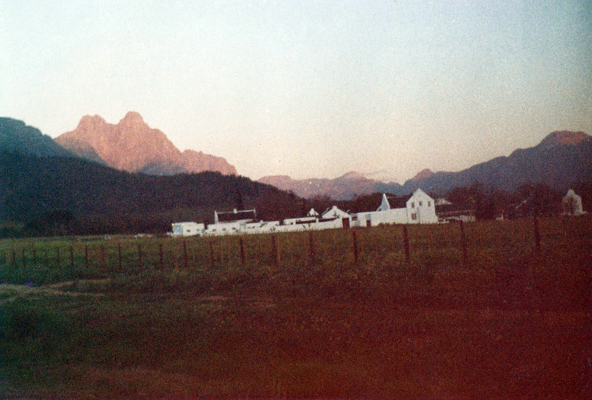 Vineyards beneath mountains in the Cape Winelands